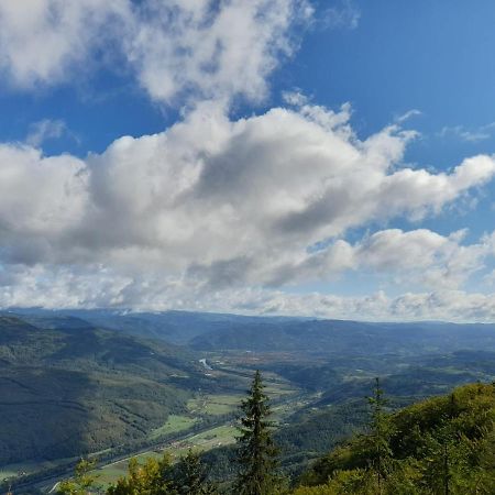 Villa Tisina Tare Bajina Basta Esterno foto