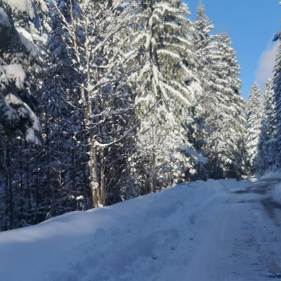 Villa Tisina Tare Bajina Basta Esterno foto