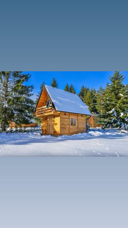 Villa Tisina Tare Bajina Basta Esterno foto