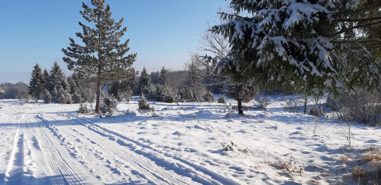 Villa Tisina Tare Bajina Basta Esterno foto