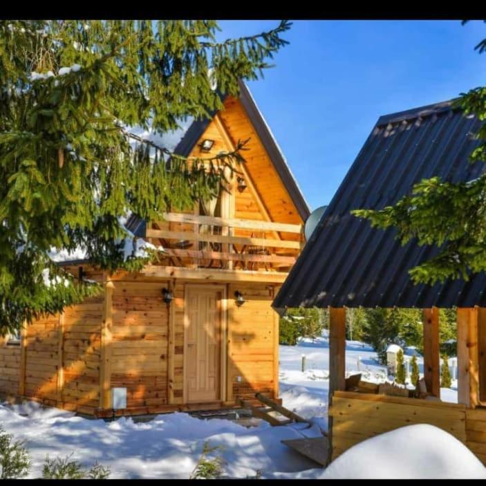 Villa Tisina Tare Bajina Basta Esterno foto