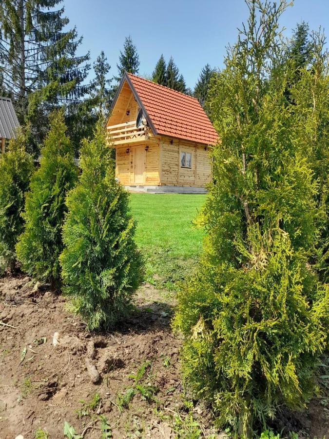 Villa Tisina Tare Bajina Basta Esterno foto