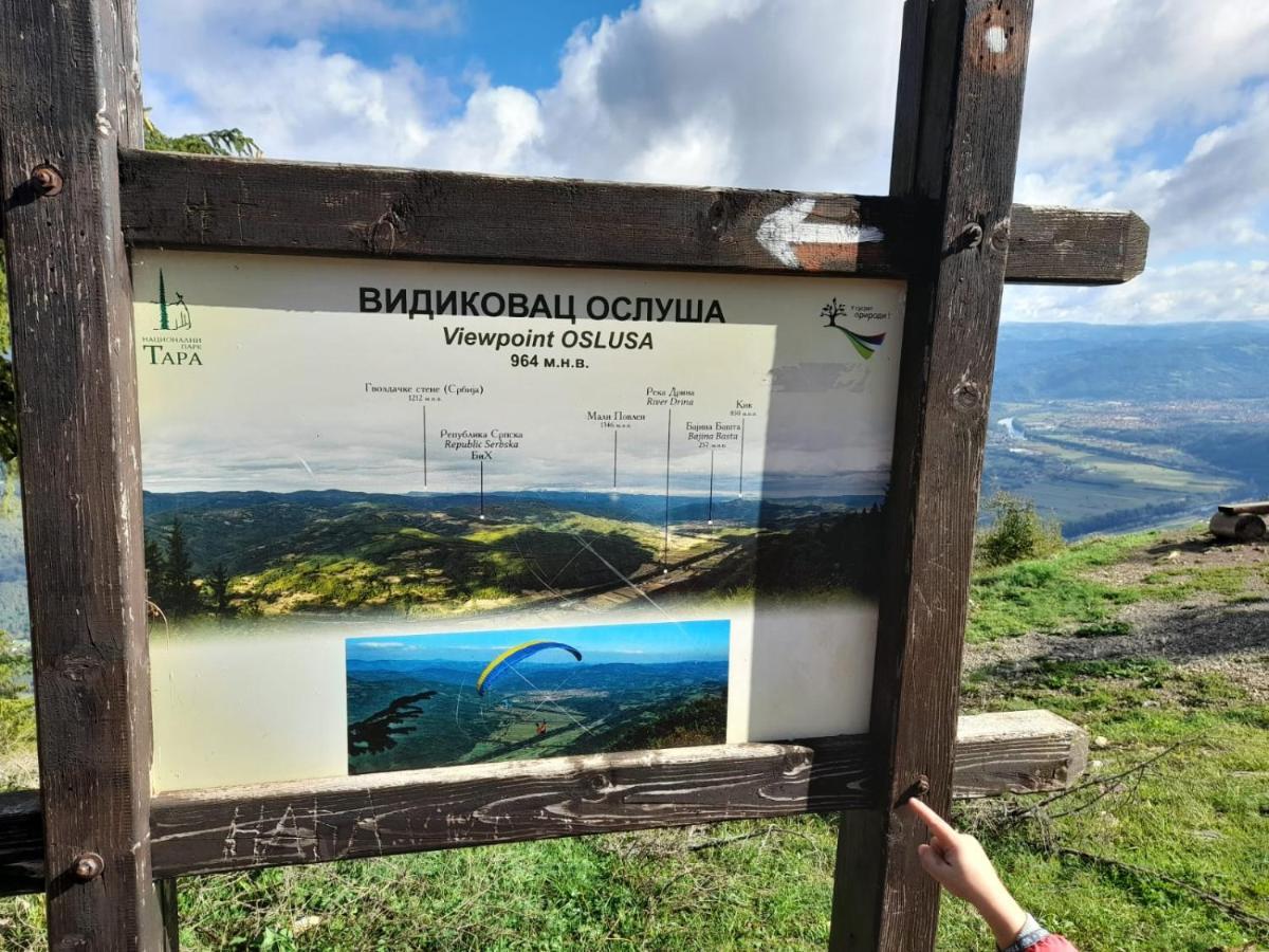 Villa Tisina Tare Bajina Basta Esterno foto